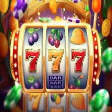 7room Chhote se Bade Stakes